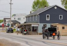 The Amish Way: Unveiling Timeless Traditions and Simple Living